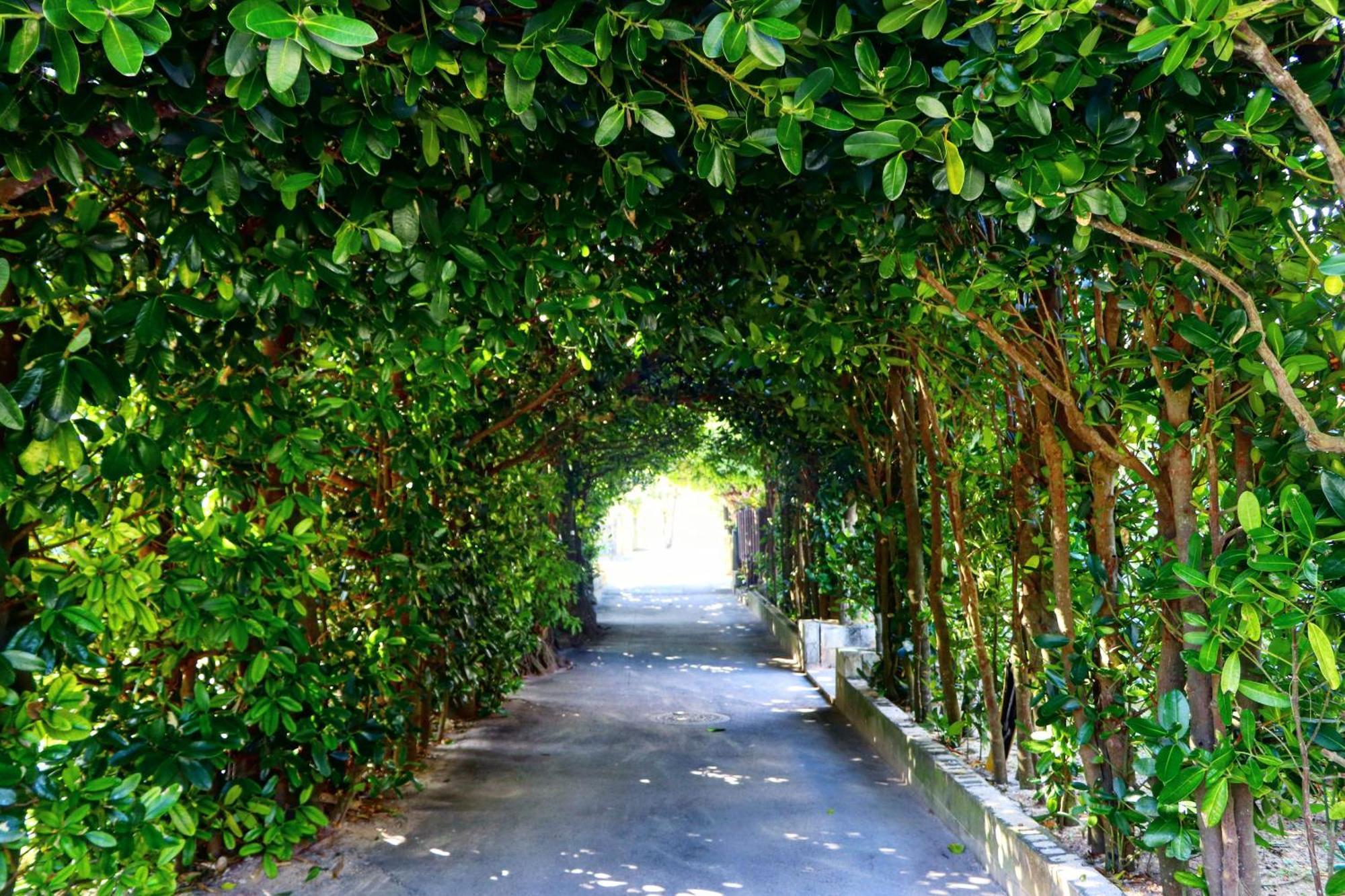 Makai Green 今帰仁村 エクステリア 写真